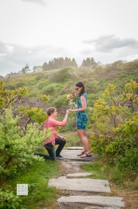 Wedding Proposal Photography